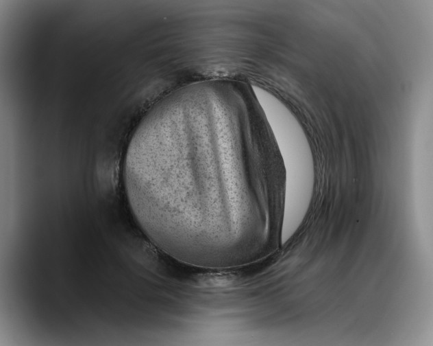 X0000089680652200707201701