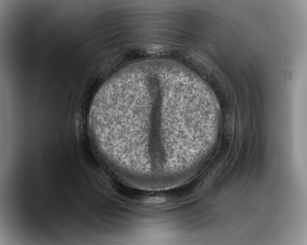 X0000089680653200707201701