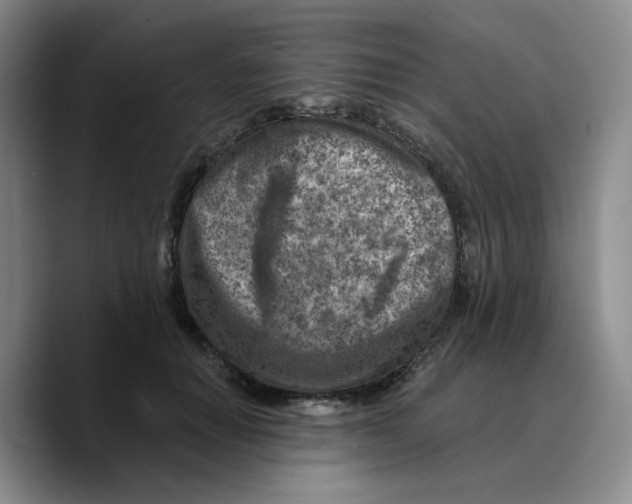 X0000089680654200707201701