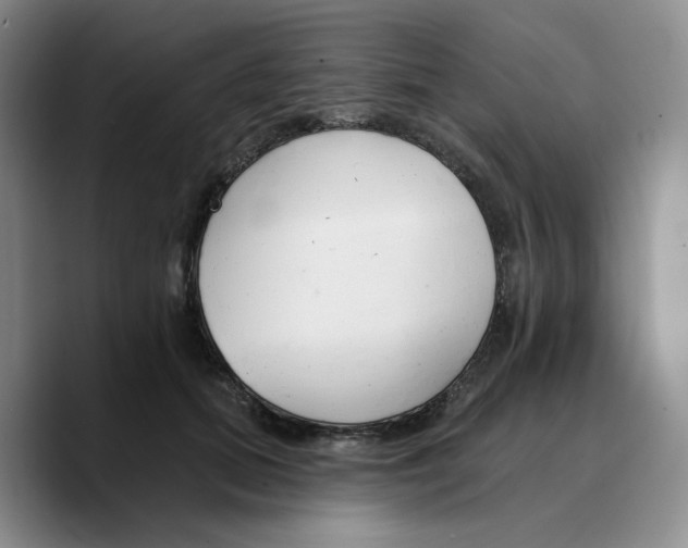 X0000089680655200707201701