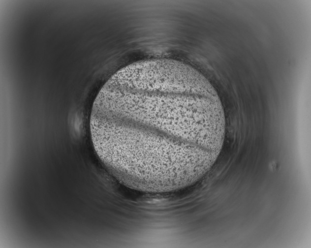 X0000089680658200707201701