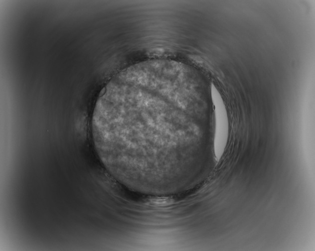 X0000089680659200707201701