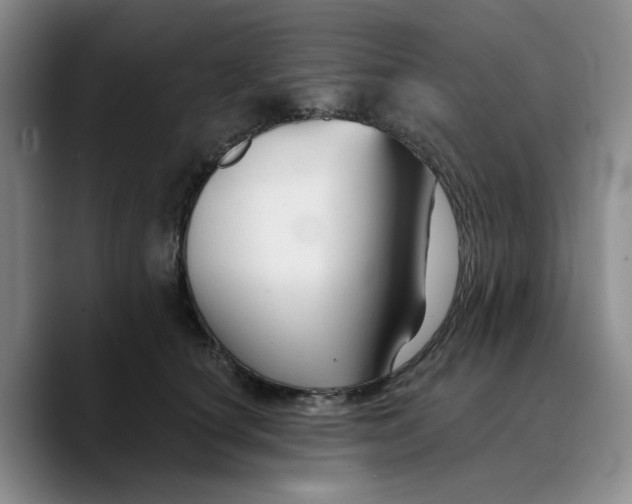 X0000089680660200707201701