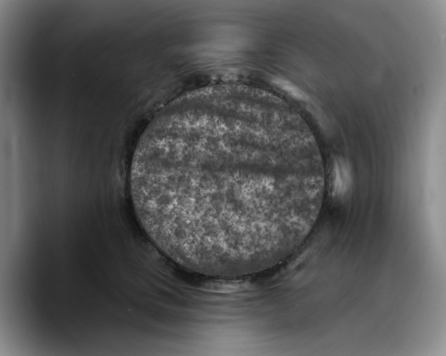 X0000089680661200707201701