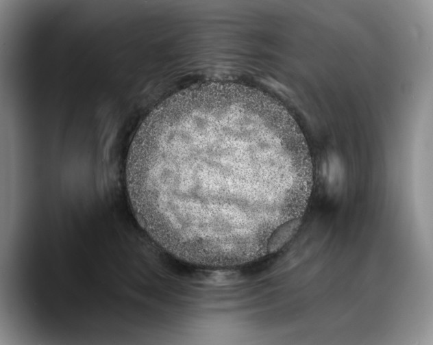 X0000089680663200707201701