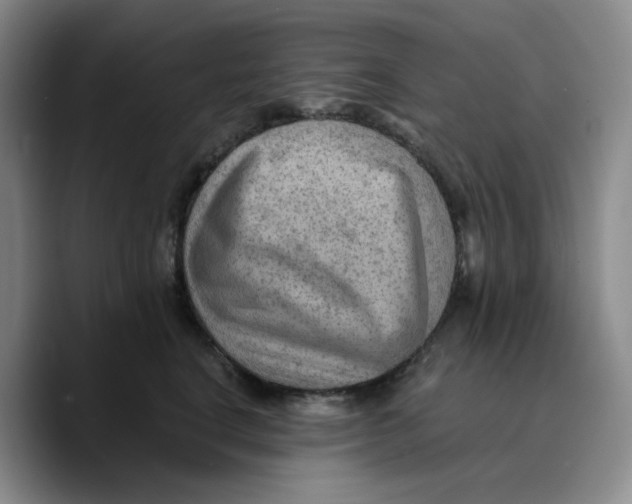 X0000089680664200707201701