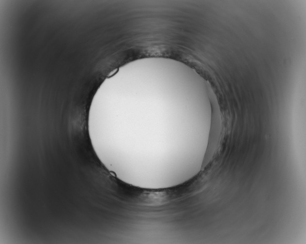 X0000089680665200707201701