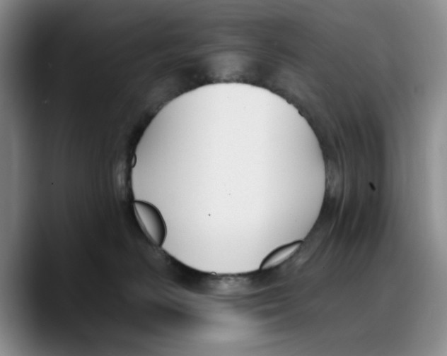 X0000089680670200707201701