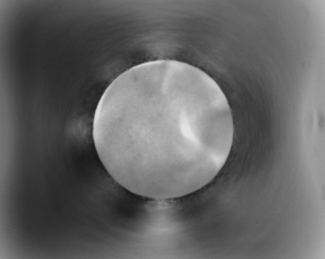 X0000089680672200707201701
