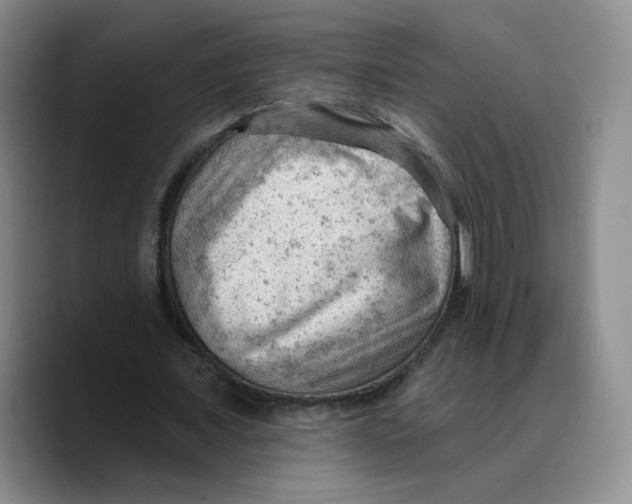 X0000089680675200707201700