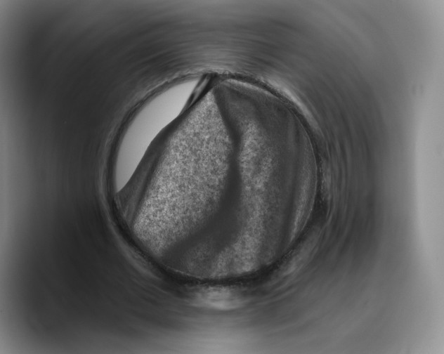 X0000089680677200707201700
