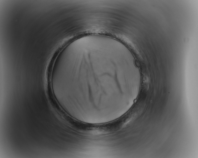 X0000089680678200707201700