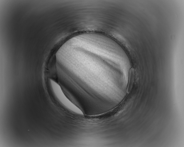 X0000089680680200707201700