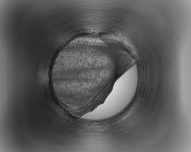 X0000089680681200707201700