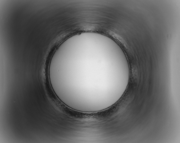 X0000089680682200707201700