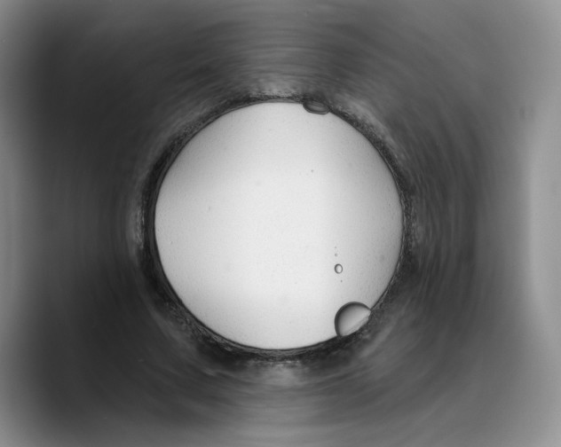 X0000089680683200707201700