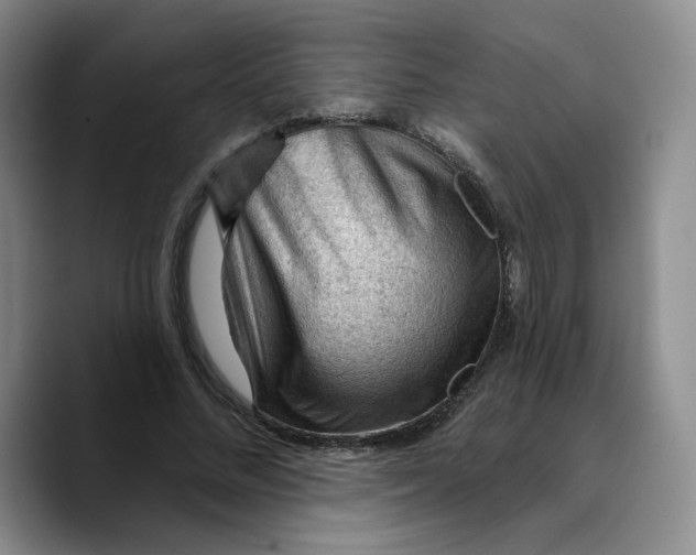 X0000089680684200707201700
