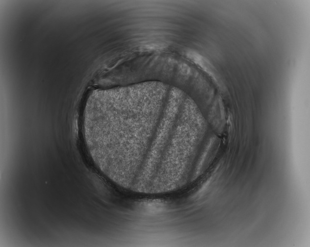 X0000089680685200707201700