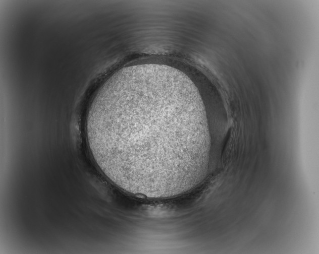 X0000089680688200707201700