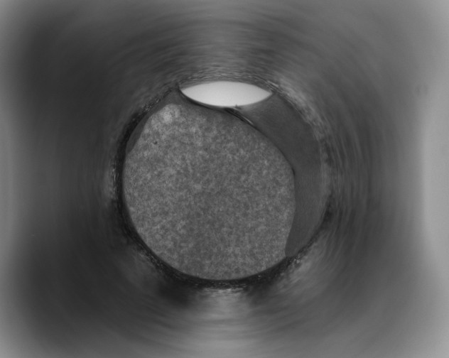 X0000089680689200707201700