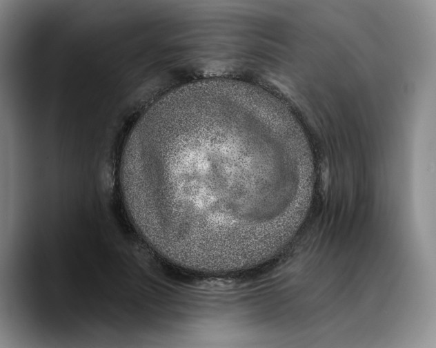 X0000089680691200707201700