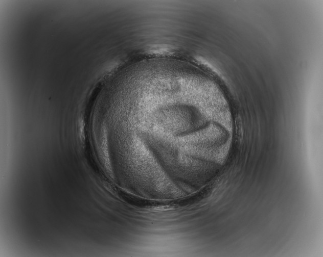 X0000089680692200707201700