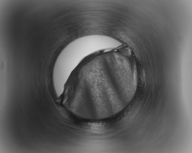 X0000089680693200707201700