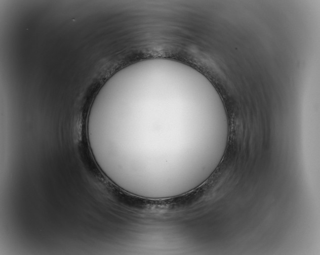 X0000089680694200707201700