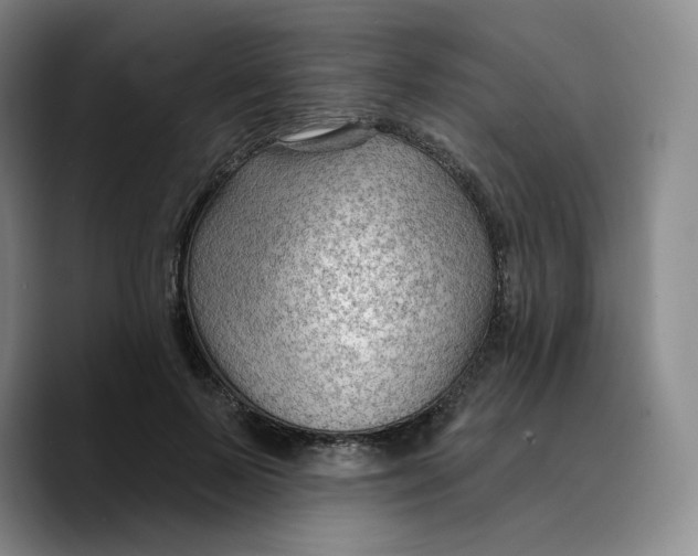 X0000089680695200707201700