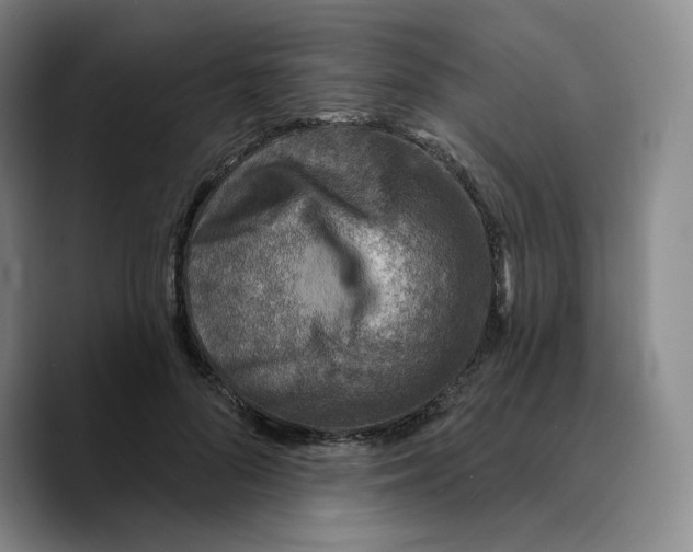 X0000089680696200707201700