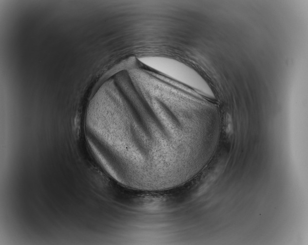 X0000089680697200707201700