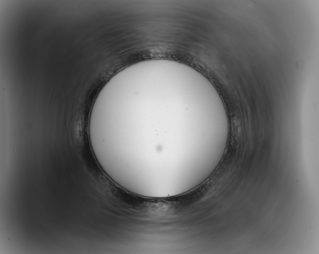 X0000089680698200707201700