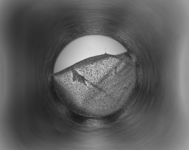 X0000089680699200707201700