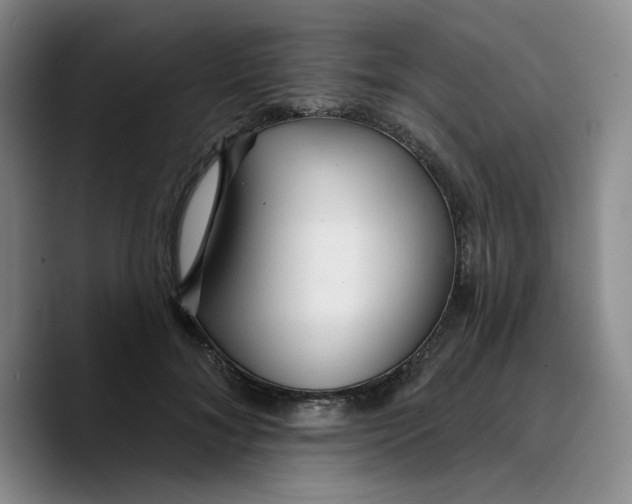 X0000089680700200707201700