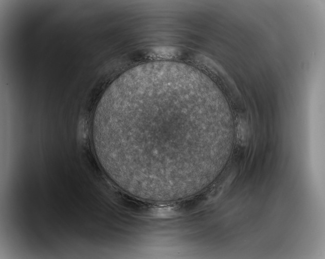 X0000089680701200707201700