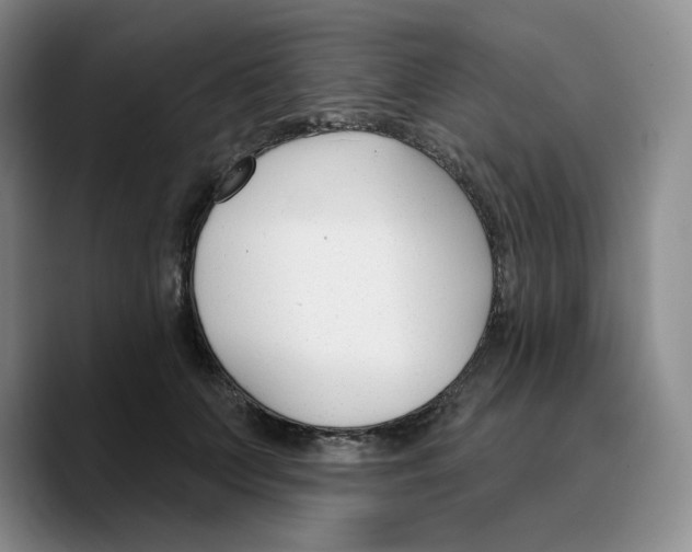 X0000089680703200707201700