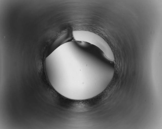 X0000089680704200707201700