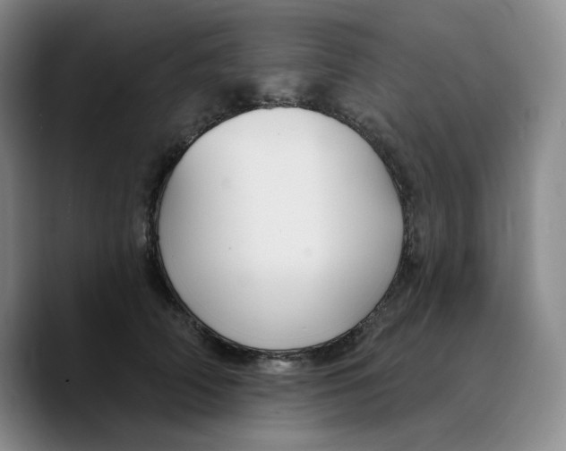 X0000089680706200707201700