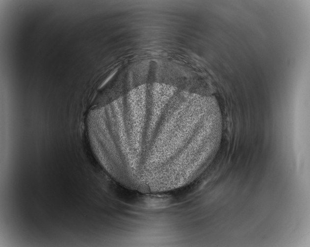 X0000089680707200707201700