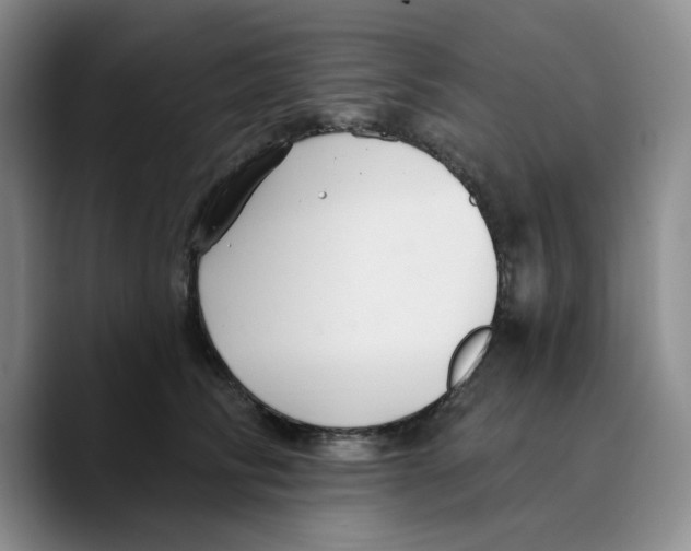 X0000089680710200707201700