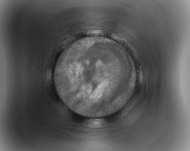 X0000089680711200707201700