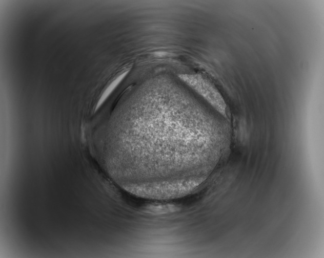 X0000089680712200707201700
