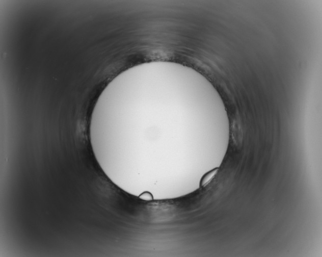 X0000089680714200707201700