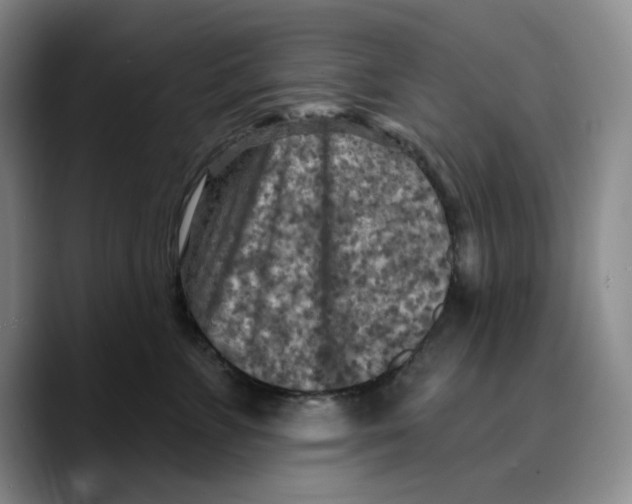 X0000089680715200707201700