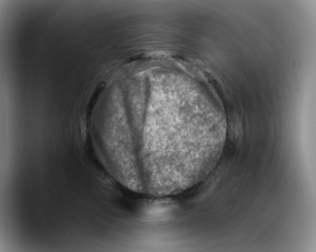 X0000089680716200707201700