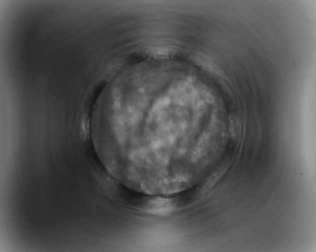 X0000089680718200707201700