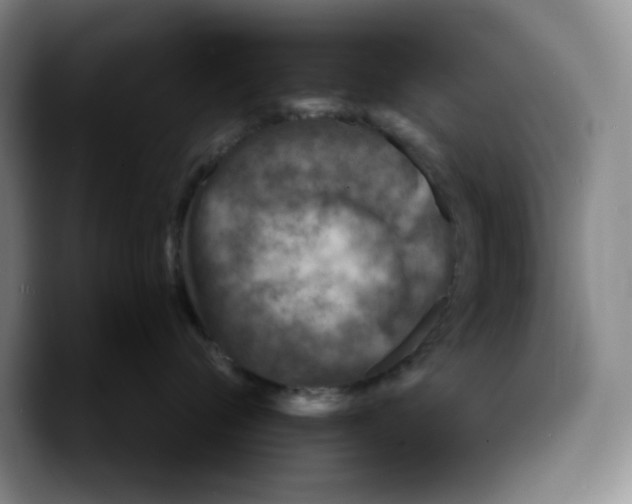 X0000089680720200707201700