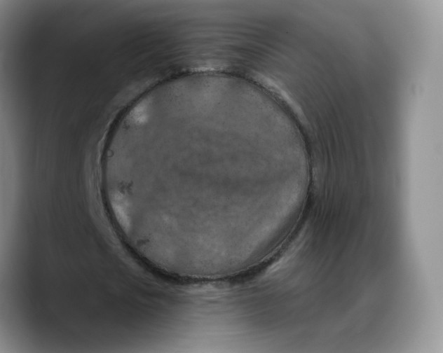 X0000089680721200707201659