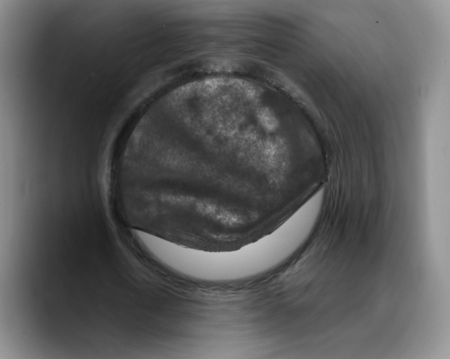 X0000089680722200707201659