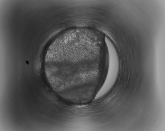 X0000089680723200707201659